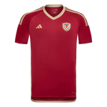 Camiseta Venezuela home 2024/2025