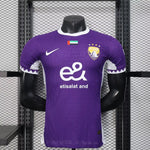 Player version - Al Ain Home 2025/2026