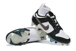 NIKE VaPOr Ede Dunk Panda